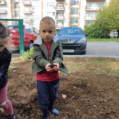 Mlada Skupina Projekt Jagoda 12