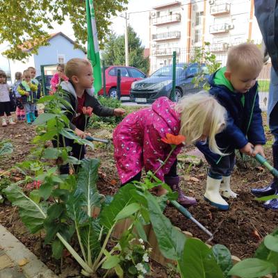 Mlada Skupina Projekt Jagoda 14