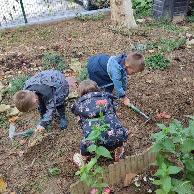 Mlada Skupina Projekt Jagoda 16