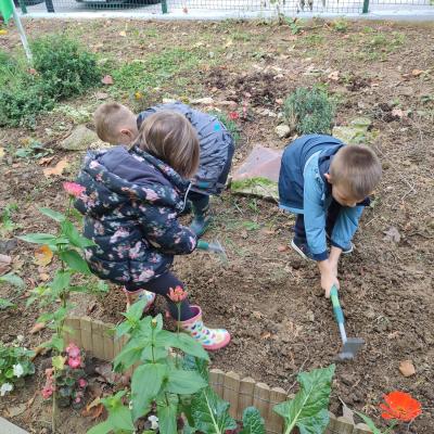 Mlada Skupina Projekt Jagoda 17